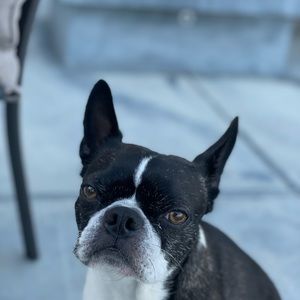 Meet your Posher, Christi